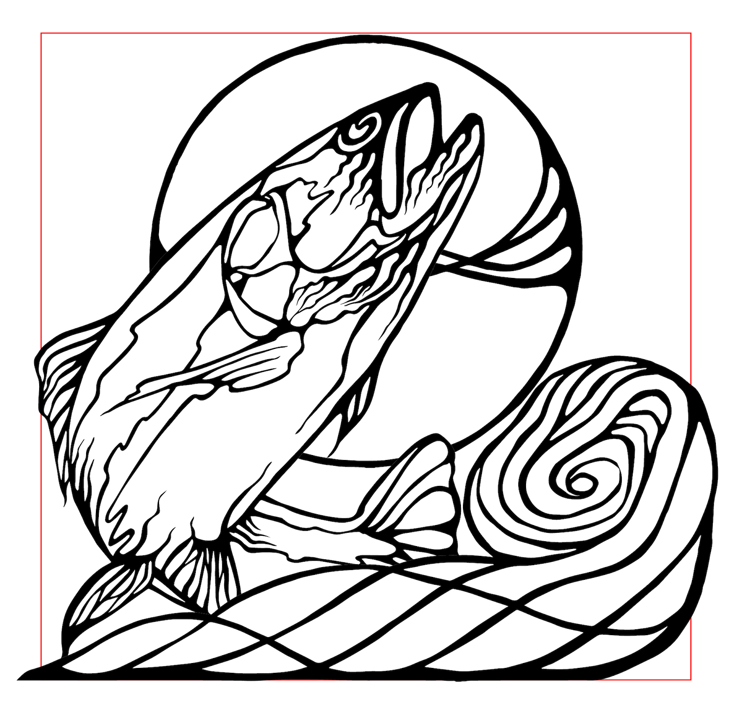 Trout Illustration